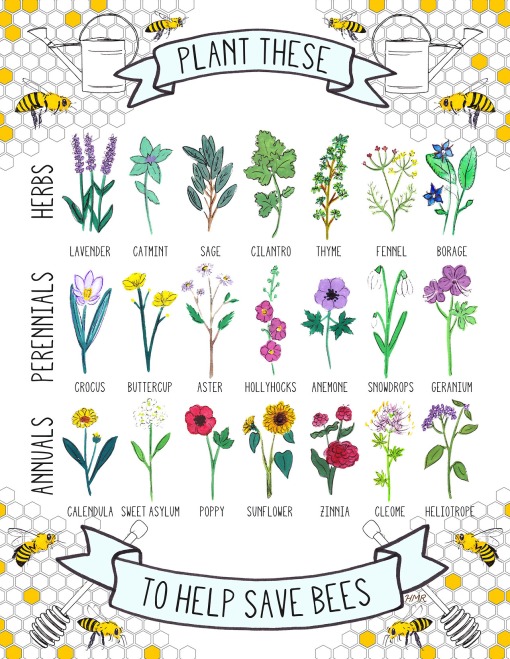 plant-these-to-save-the-bees